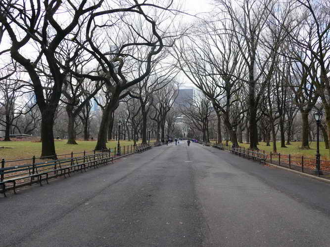 NYC_2020-01-26 09-13-23_P1070522